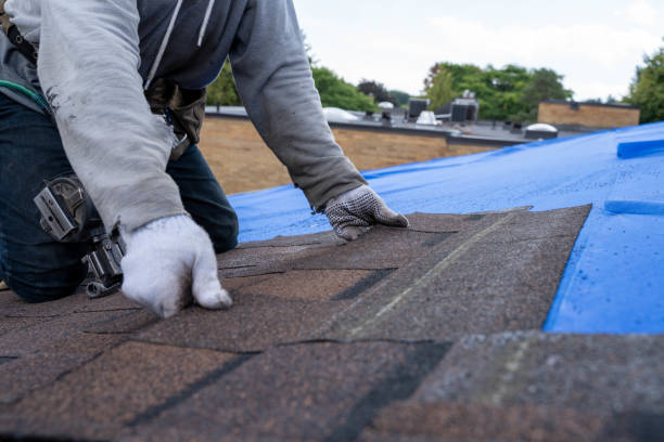 Butte, AK Roofing Contractor Company