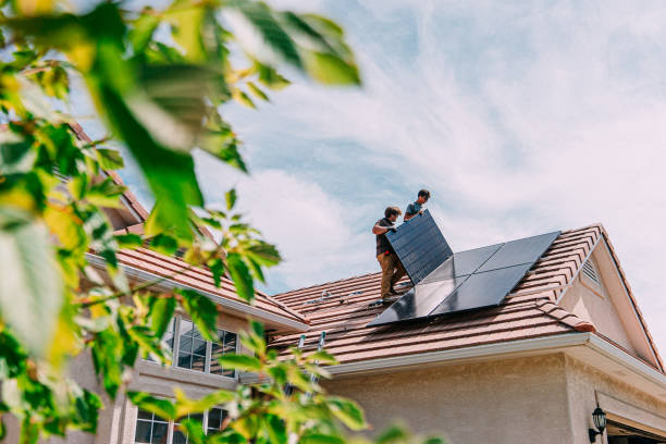 Best Roof Gutter Cleaning  in Butte, AK