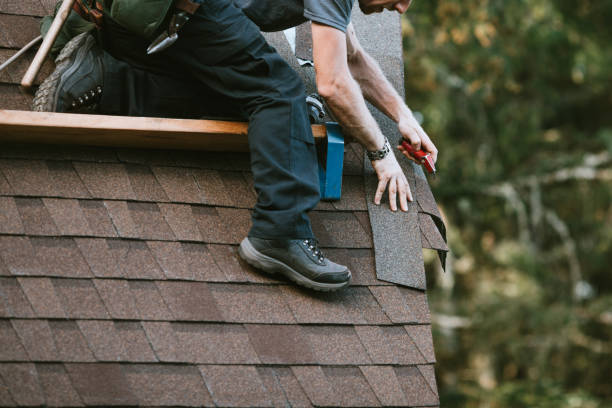 Best Roof Repair Services  in Butte, AK